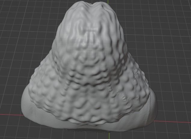 Albrecht Durer 3D print model_7