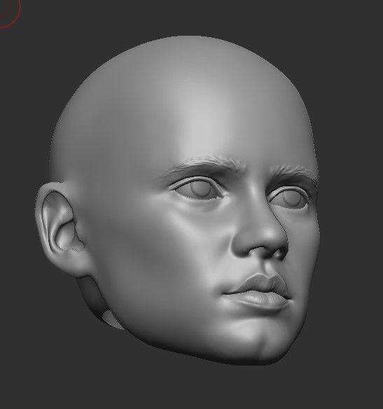 Wednesday Addams Head and Hair 2 pieces 3D Stl for Print 3D print model_14