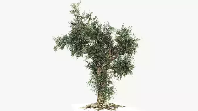 style tree 3D model