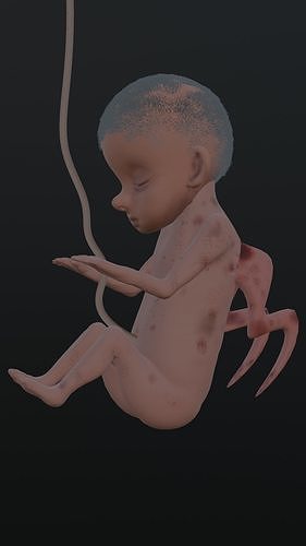 Embryo Free 3D model