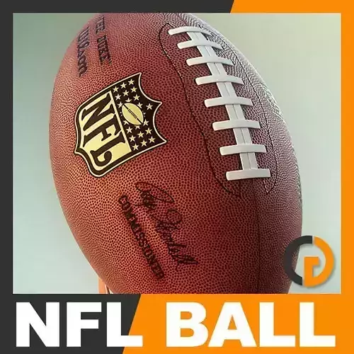 NFL Official Game Ball