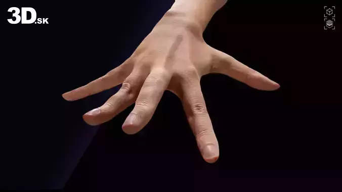 Retopologized 3D Hand Alexia Madrid