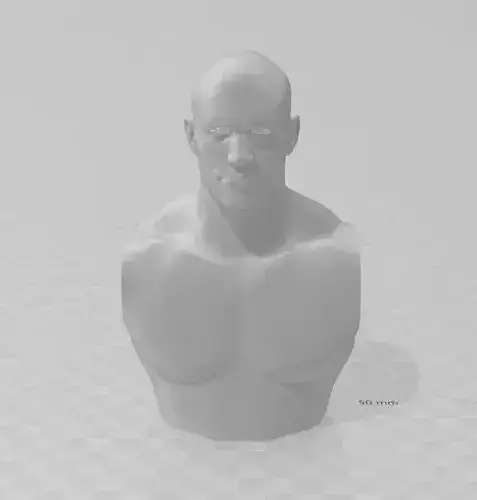 Randy Orton WWE Bust 3D print model