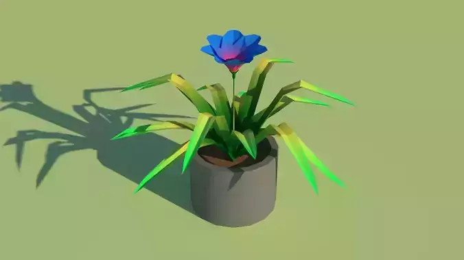 Blue Flower