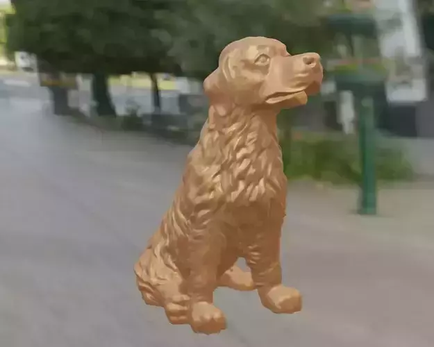 Golden retriever