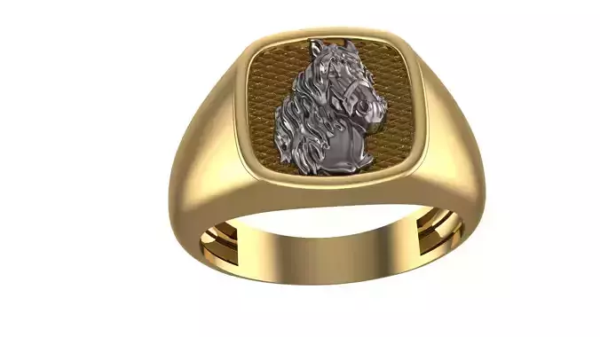 Horse Ring