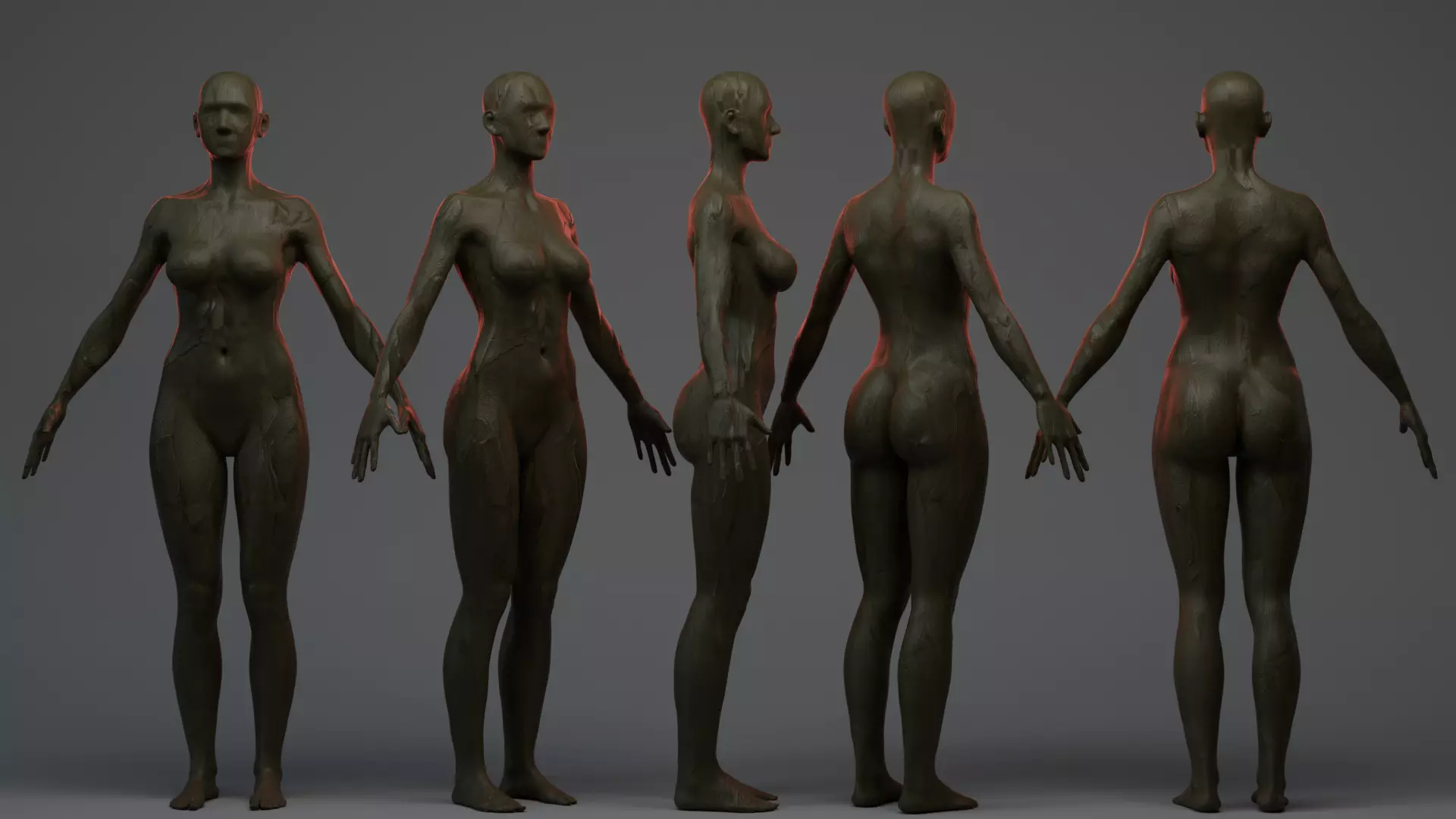 Body Female 2 3D model_0
