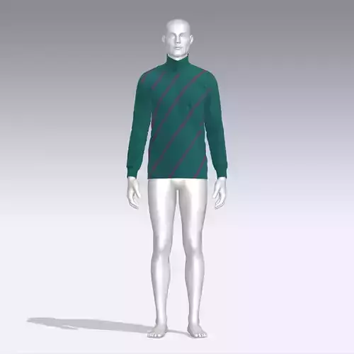 Sweater mannequin wearing turtle neck