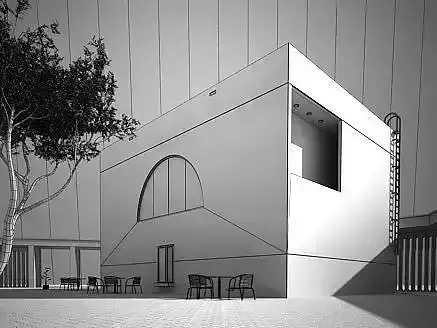 Modern House With Ladder