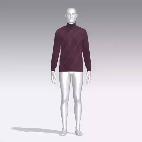 Sweater mannequin wearing turtle neck