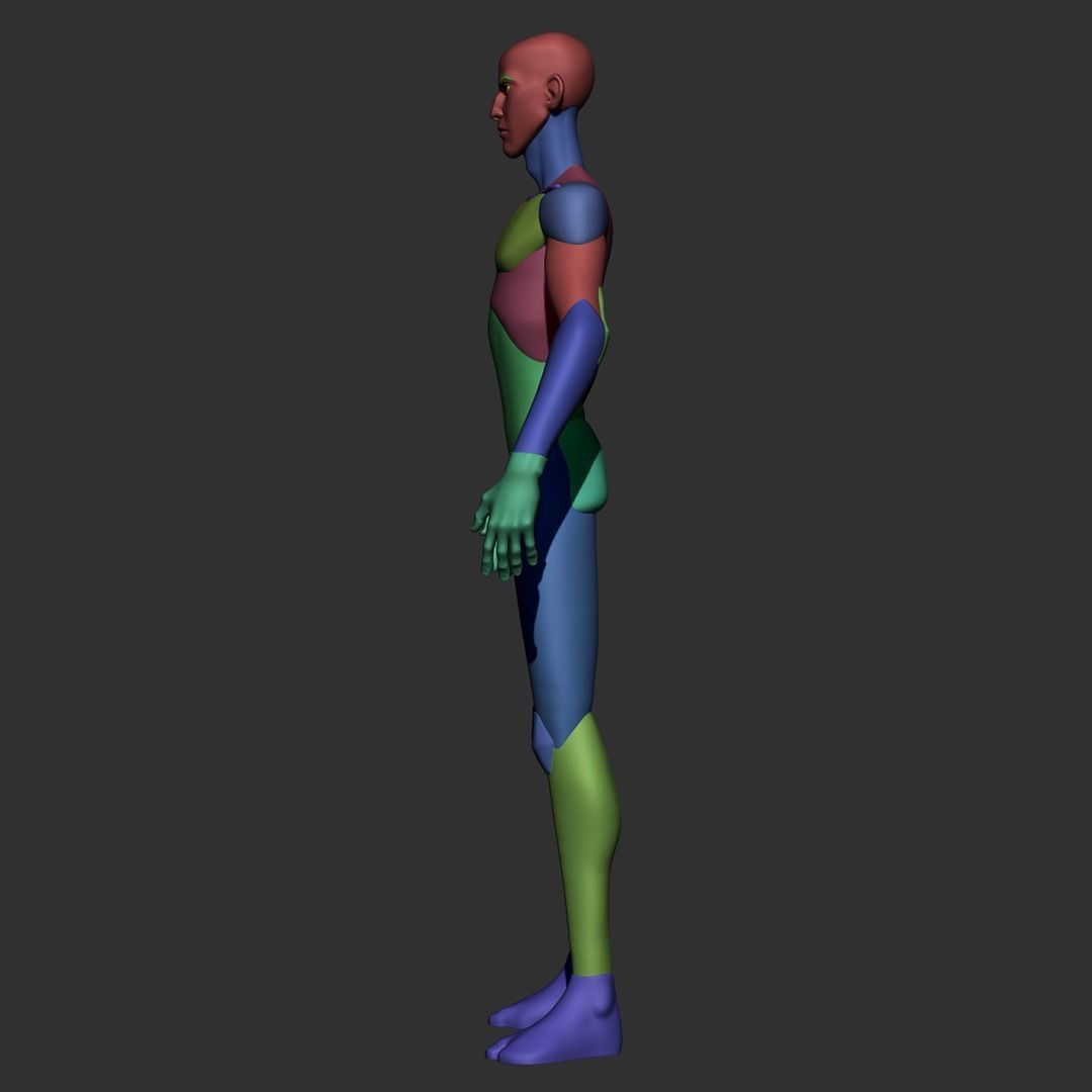 Skinny Basemesh 3D model_4