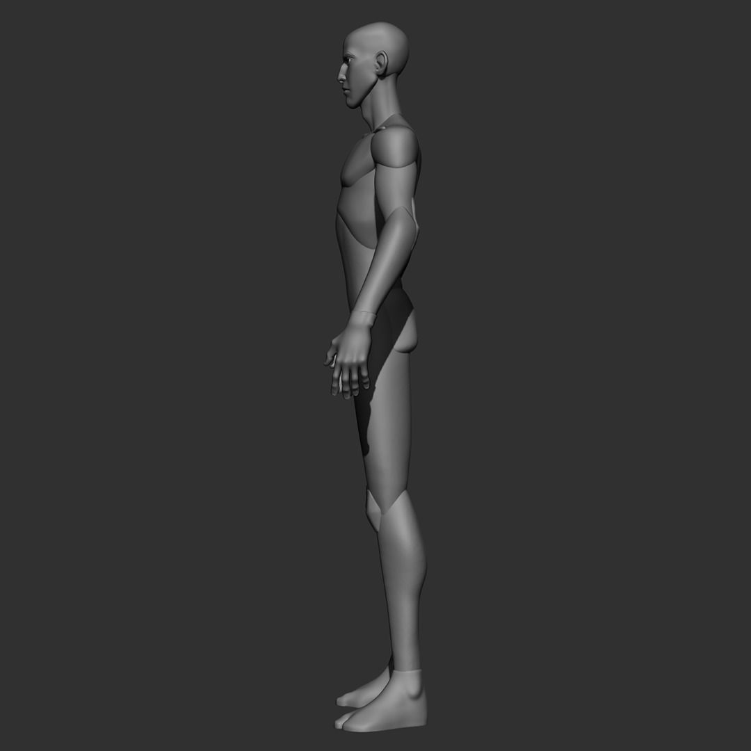 Skinny Basemesh 3D model_5