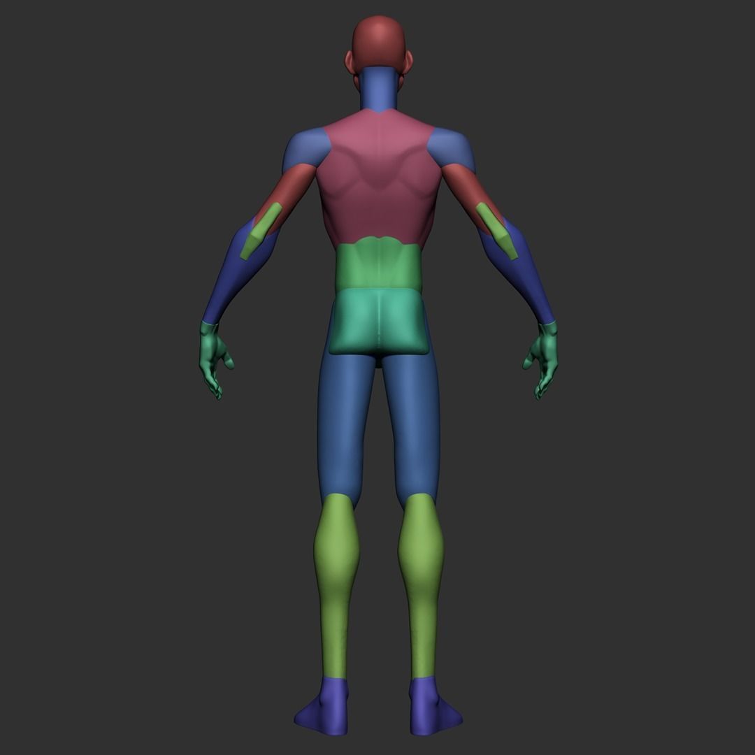 Skinny Basemesh 3D model_6