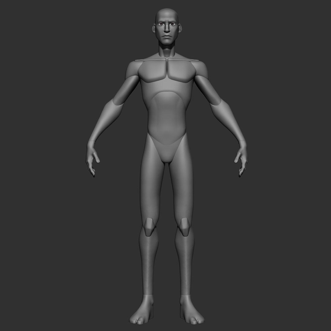 Skinny Basemesh 3D model_1