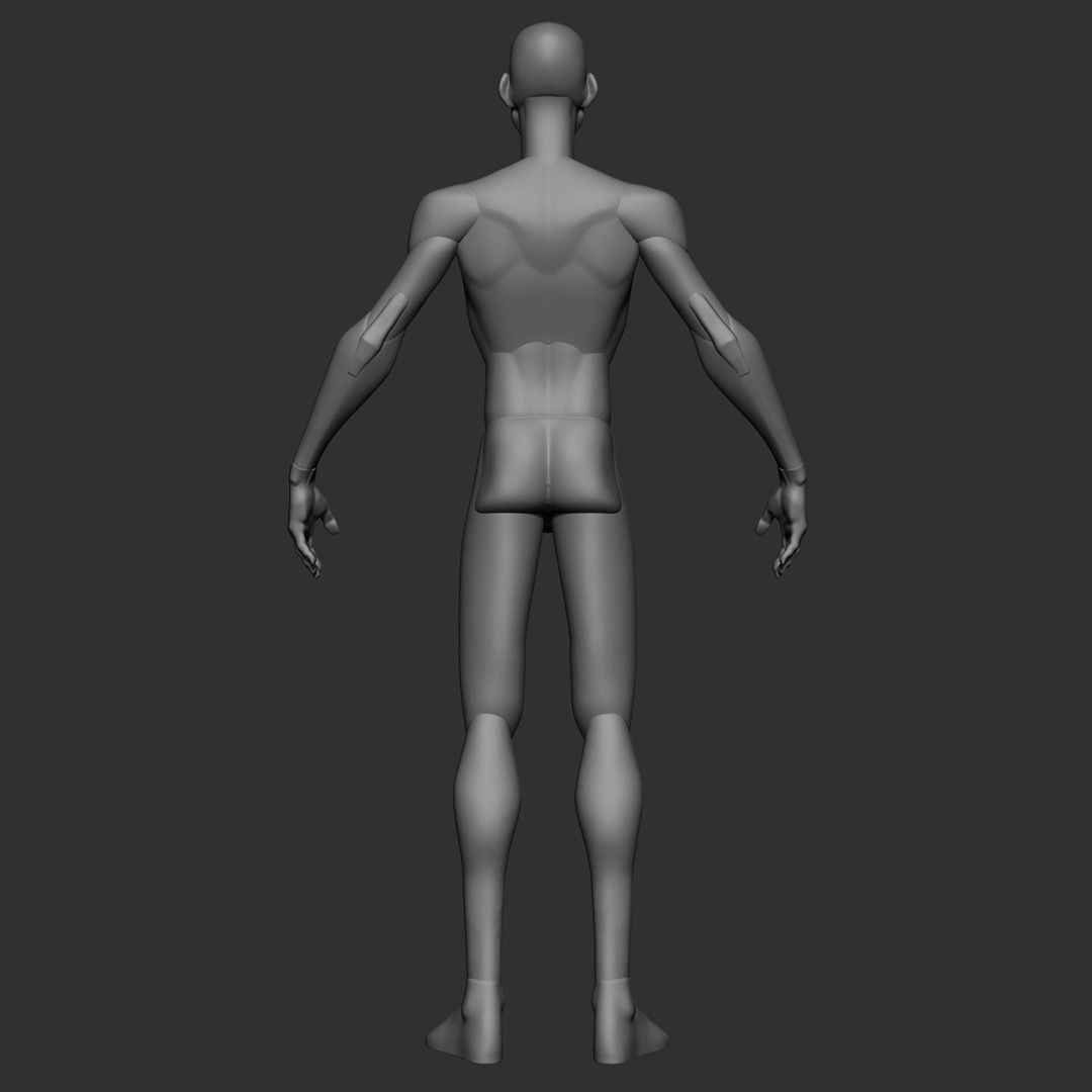 Skinny Basemesh 3D model_7