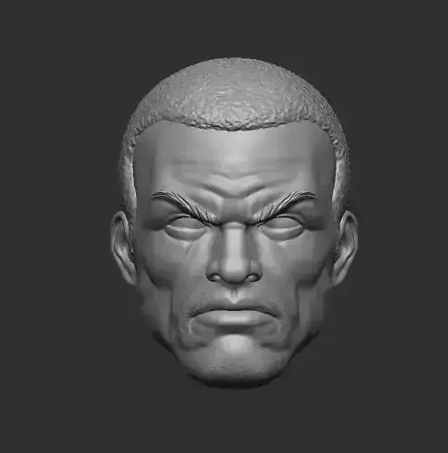 Calvin Ellis - Headsculpt for Action Figures 3D print model 3D print model