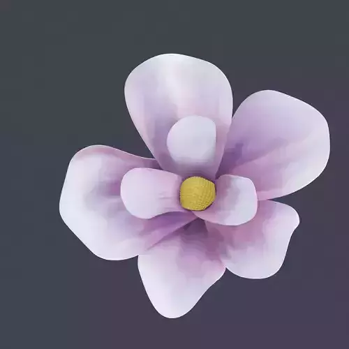 Magnolia Flower