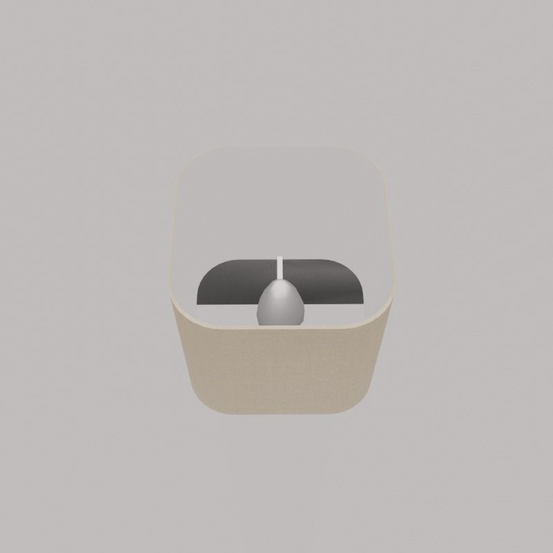 Wall Mounted Lamp Sconce Brushed Metal 3D model_2