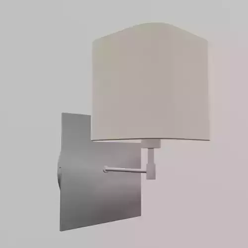 Wall Mounted Lamp Sconce Brushed Metal