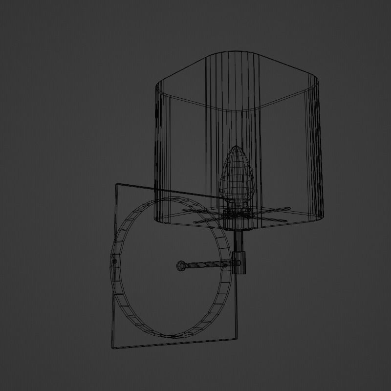 Wall Mounted Lamp Sconce Brushed Metal 3D model_4