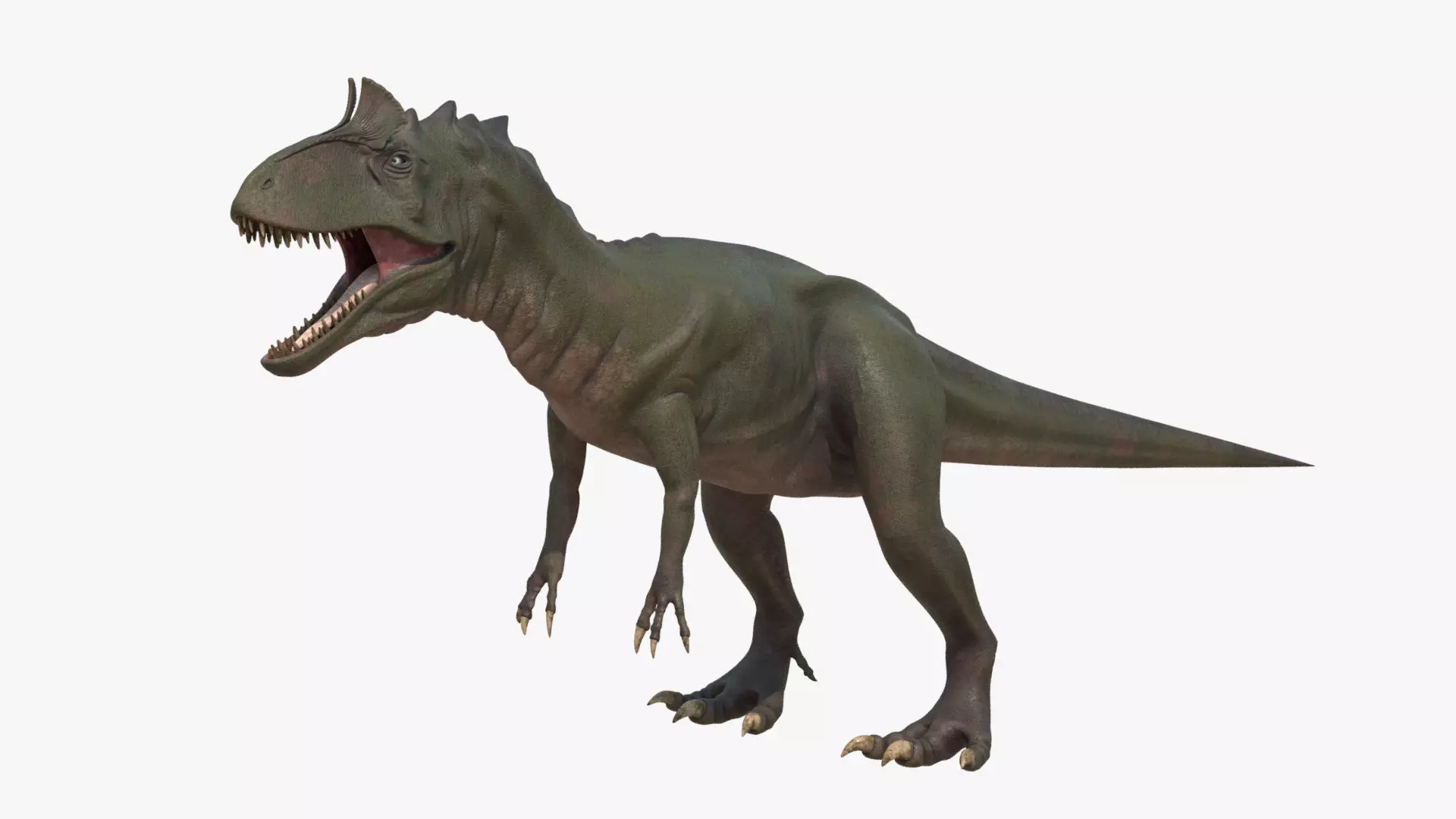 4K Textures Cryolophosaurus Low-poly 3D model