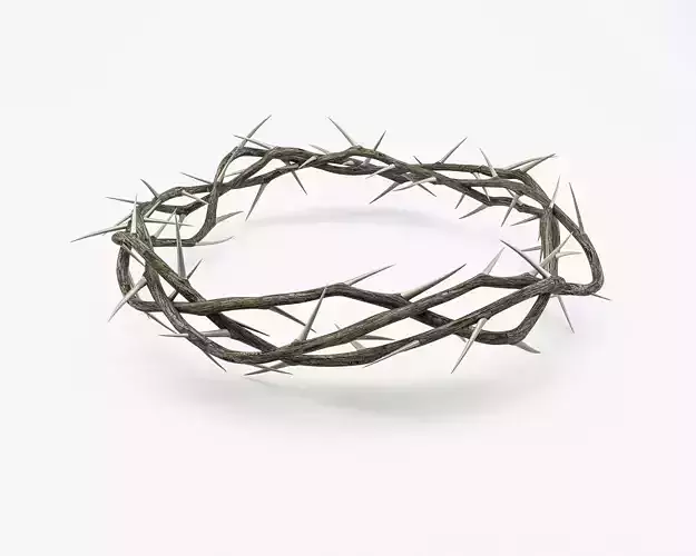 Crown Of Thorns