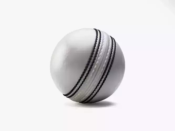 Cricket Ball White