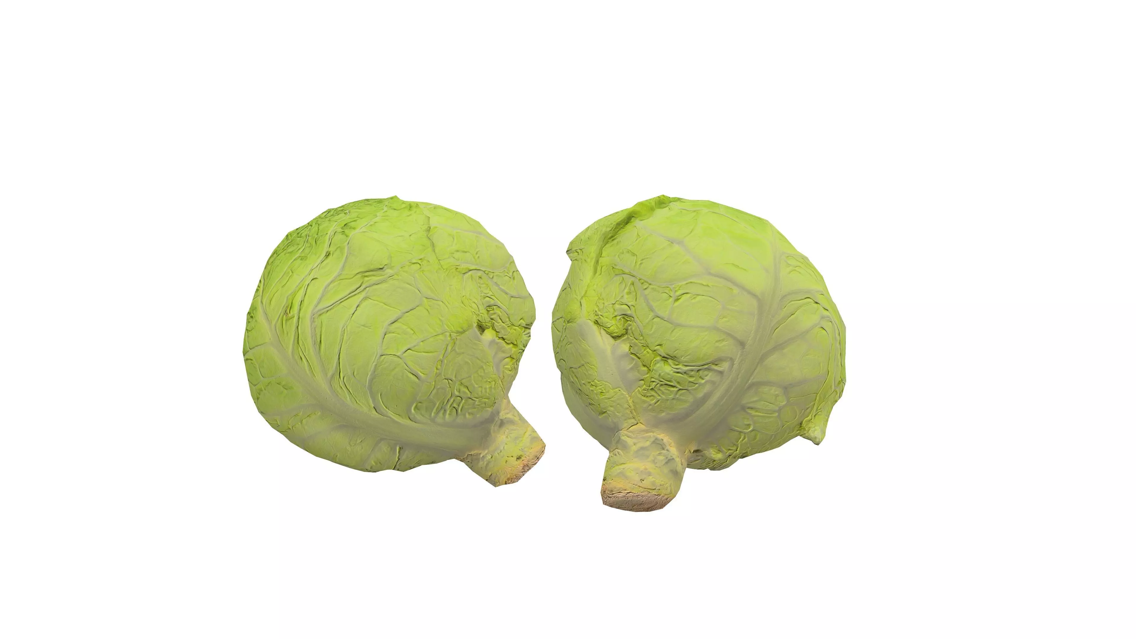 Cabbage Vegetable 3D Model AR VR PBR Low-poly 3D model