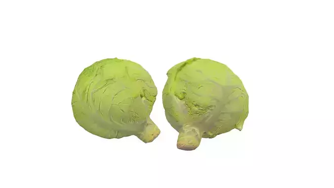 Cabbage Vegetable 3D Model AR VR PBR