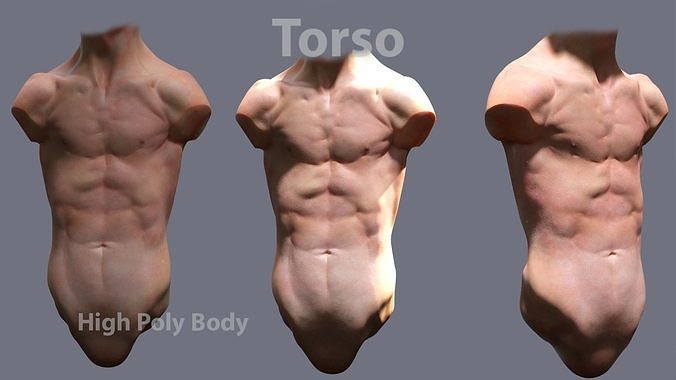tors men 3D model