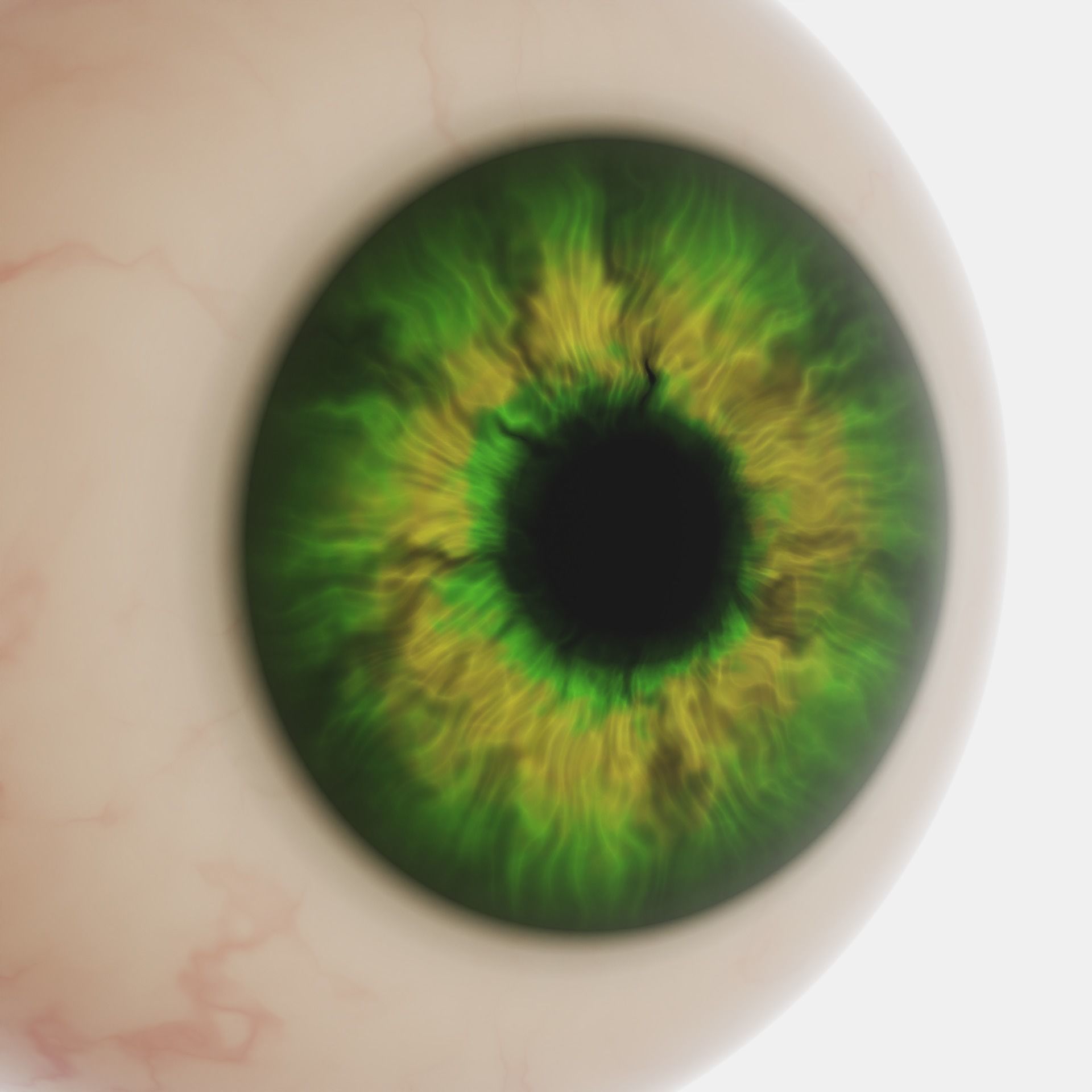 Green Eyeball Free 3D model_1