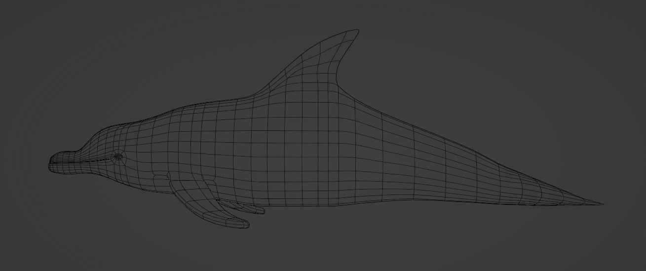 DOLPHIN LOW-POLY 3D MODEL whale tail Low-poly 3D model_14