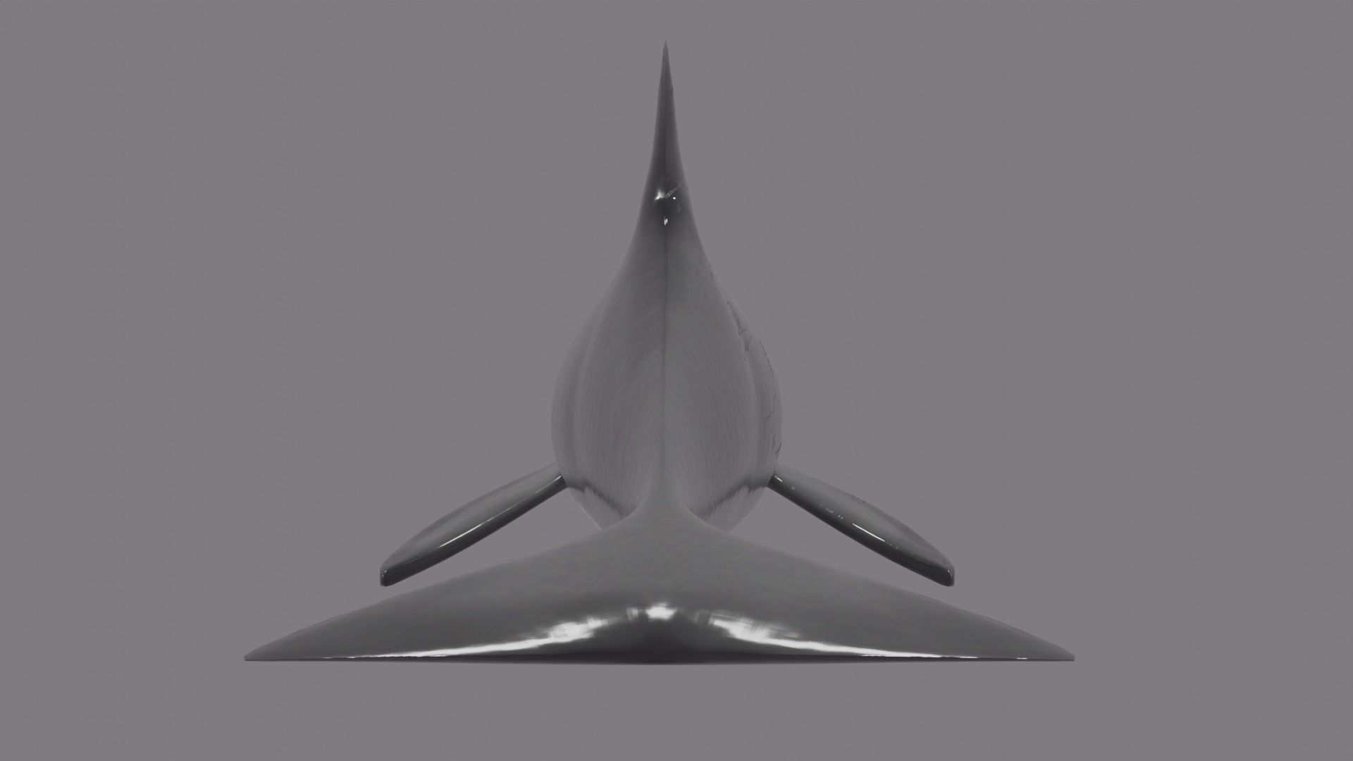 DOLPHIN LOW-POLY 3D MODEL whale tail Low-poly 3D model_9