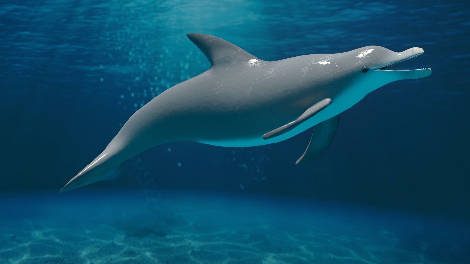 DOLPHIN LOW-POLY 3D MODEL whale tail Low-poly 3D model_4