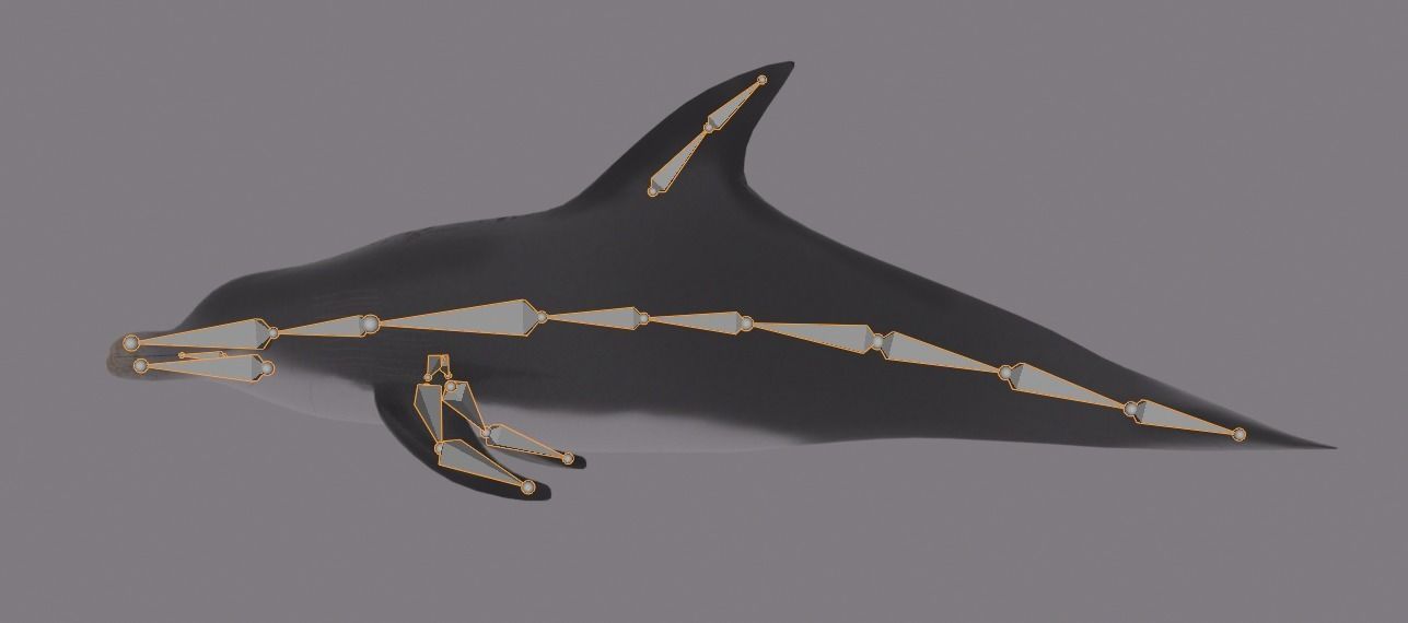 DOLPHIN LOW-POLY 3D MODEL whale tail Low-poly 3D model_13