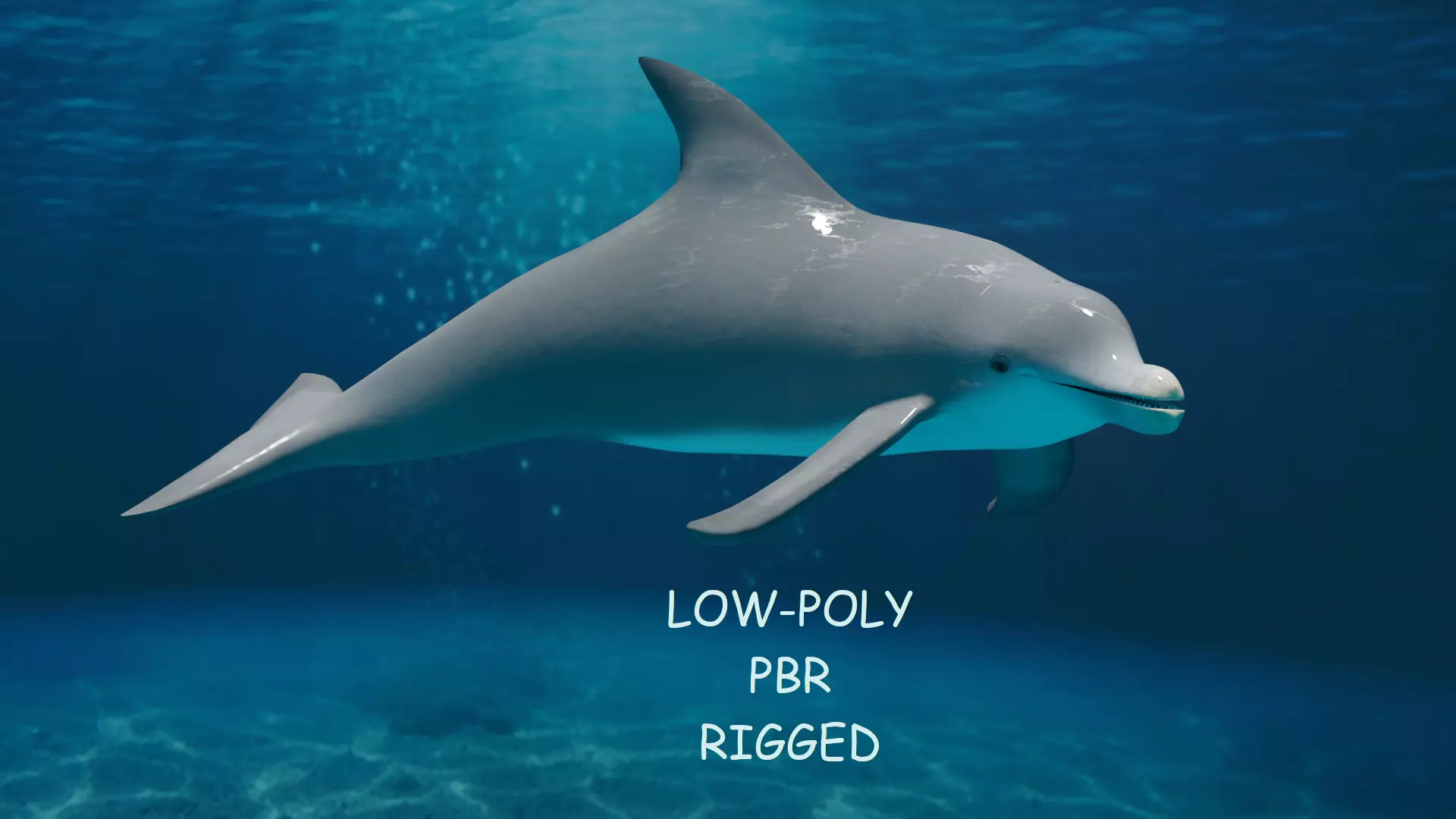 DOLPHIN LOW-POLY 3D MODEL whale tail Low-poly 3D model_0