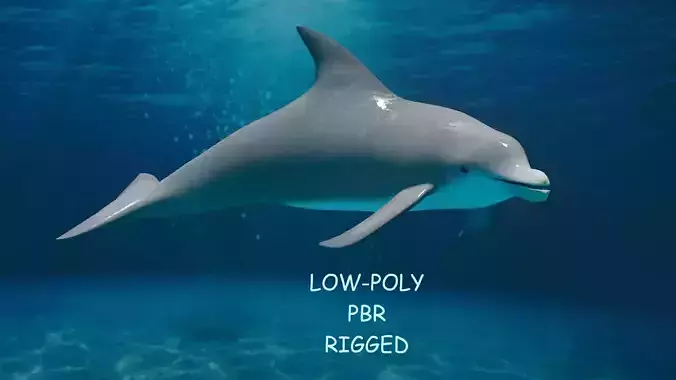 DOLPHIN LOW-POLY 3D MODEL whale tail Low-poly 3D model
