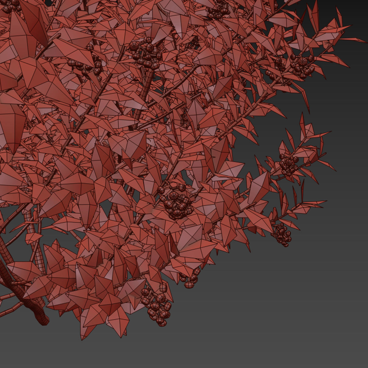 Blueberry bush berry 3D model_1