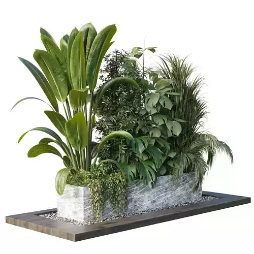 Outdoor plant box- Trees and shrubs in pot Set 145 Low-poly 3D model