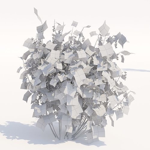 Currant berry bush 3D model 6