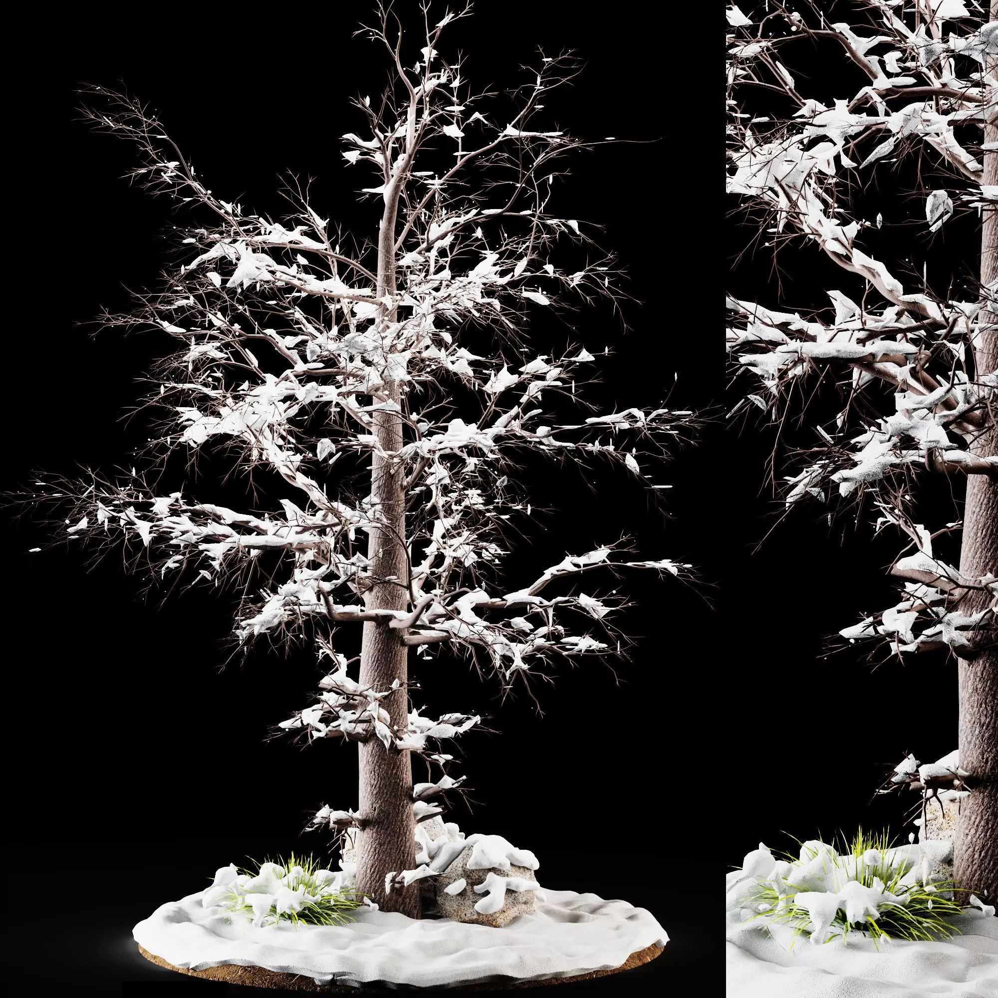 Winter Tree Model winter tree 01 3D model | CGTrader