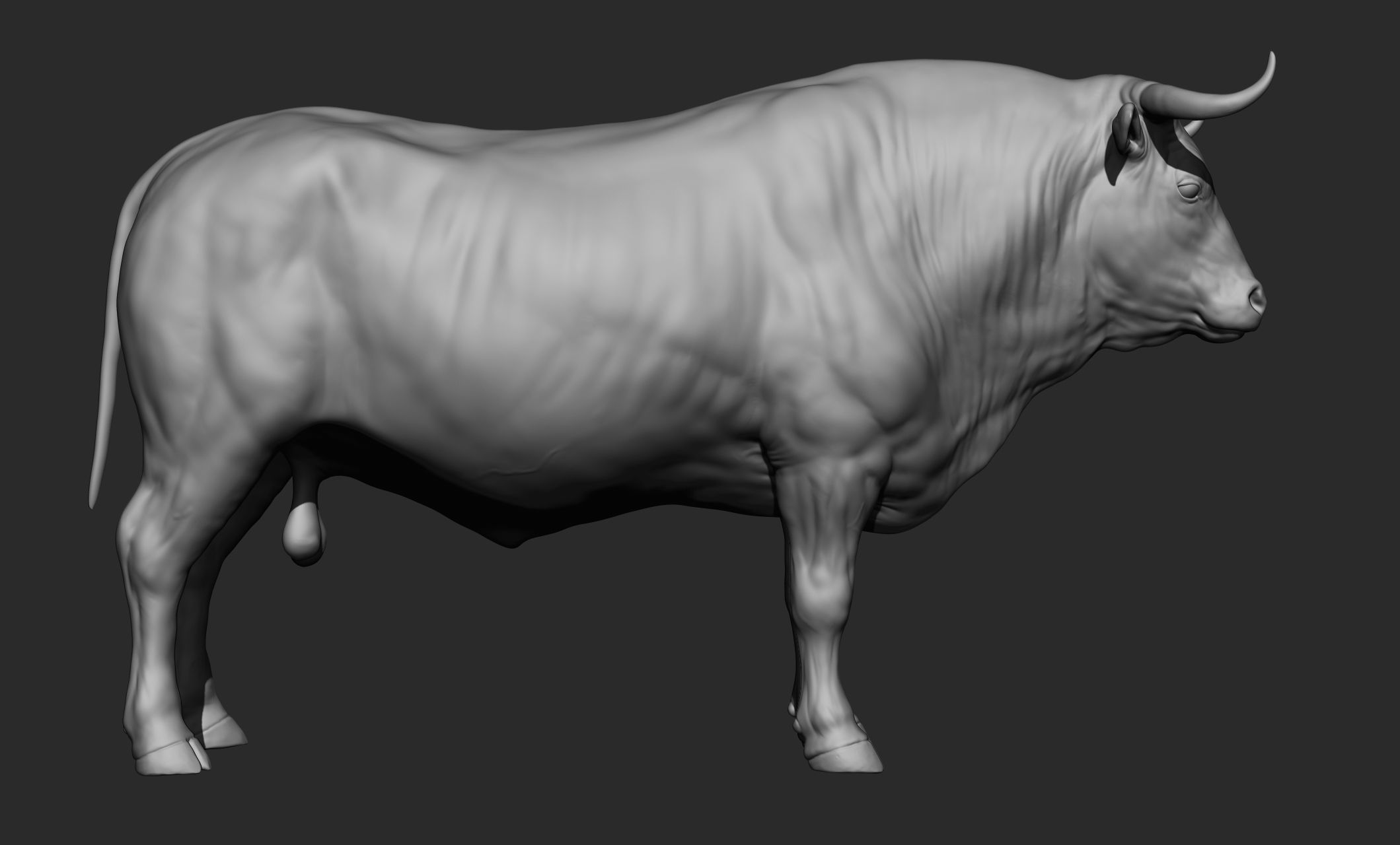 Domestic animal collection 3D model_32