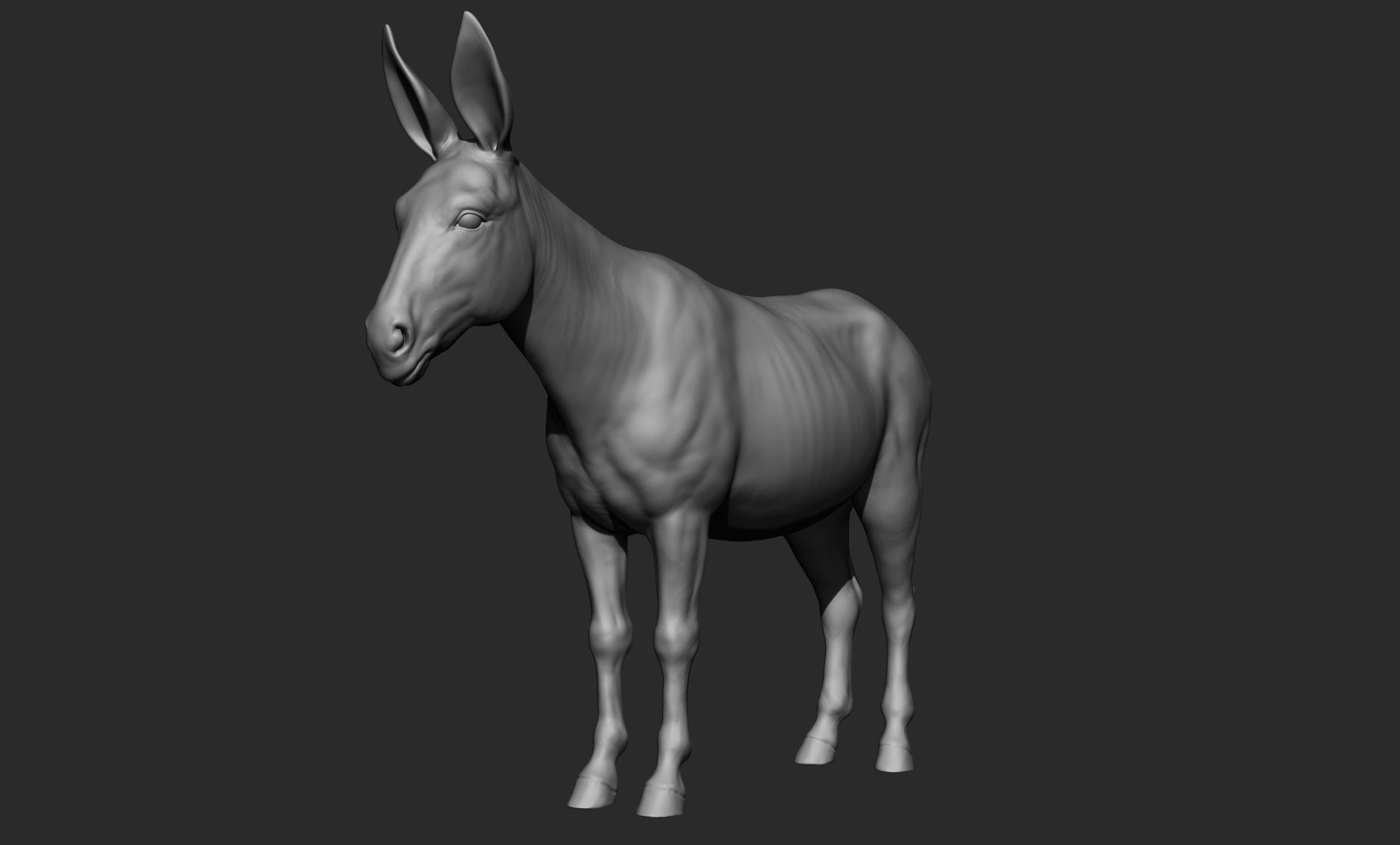 Domestic animal collection 3D model_58
