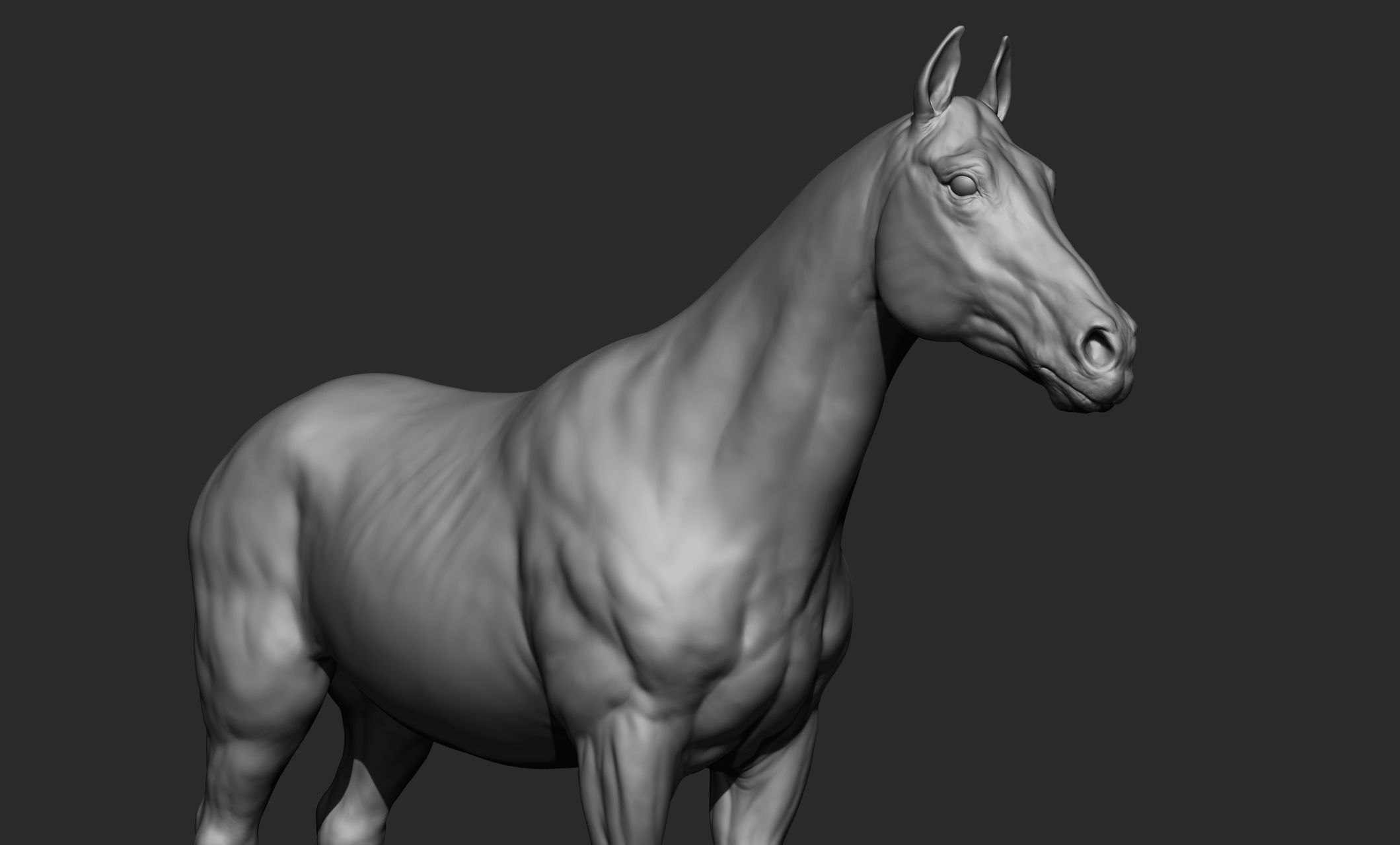 Domestic animal collection 3D model_18