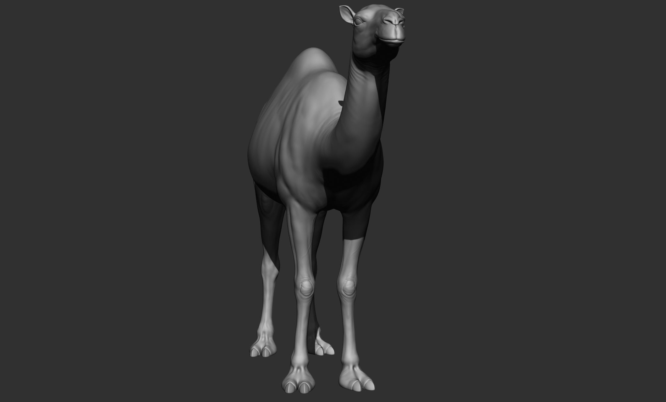 Domestic animal collection 3D model_55