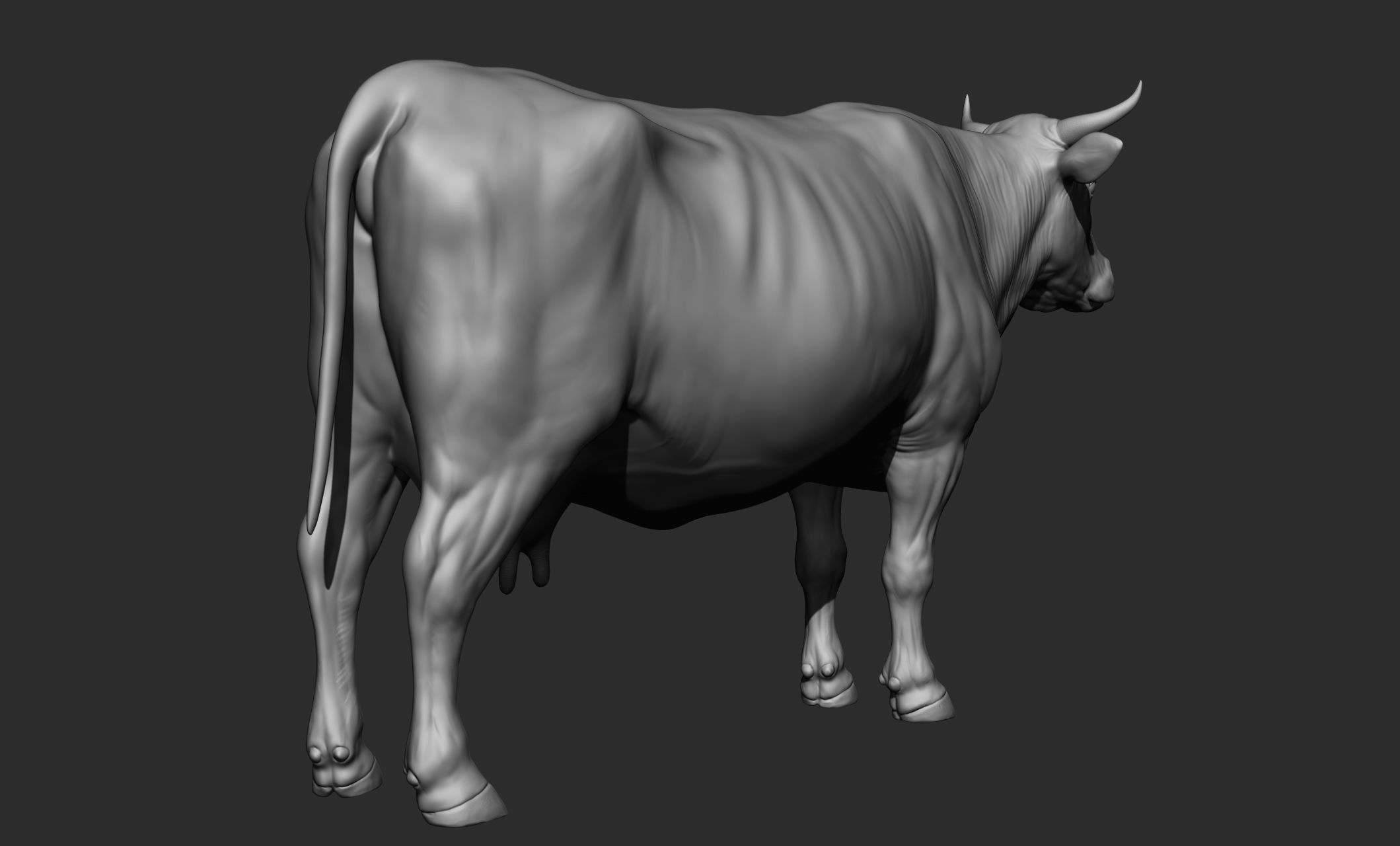 Domestic animal collection 3D model_43