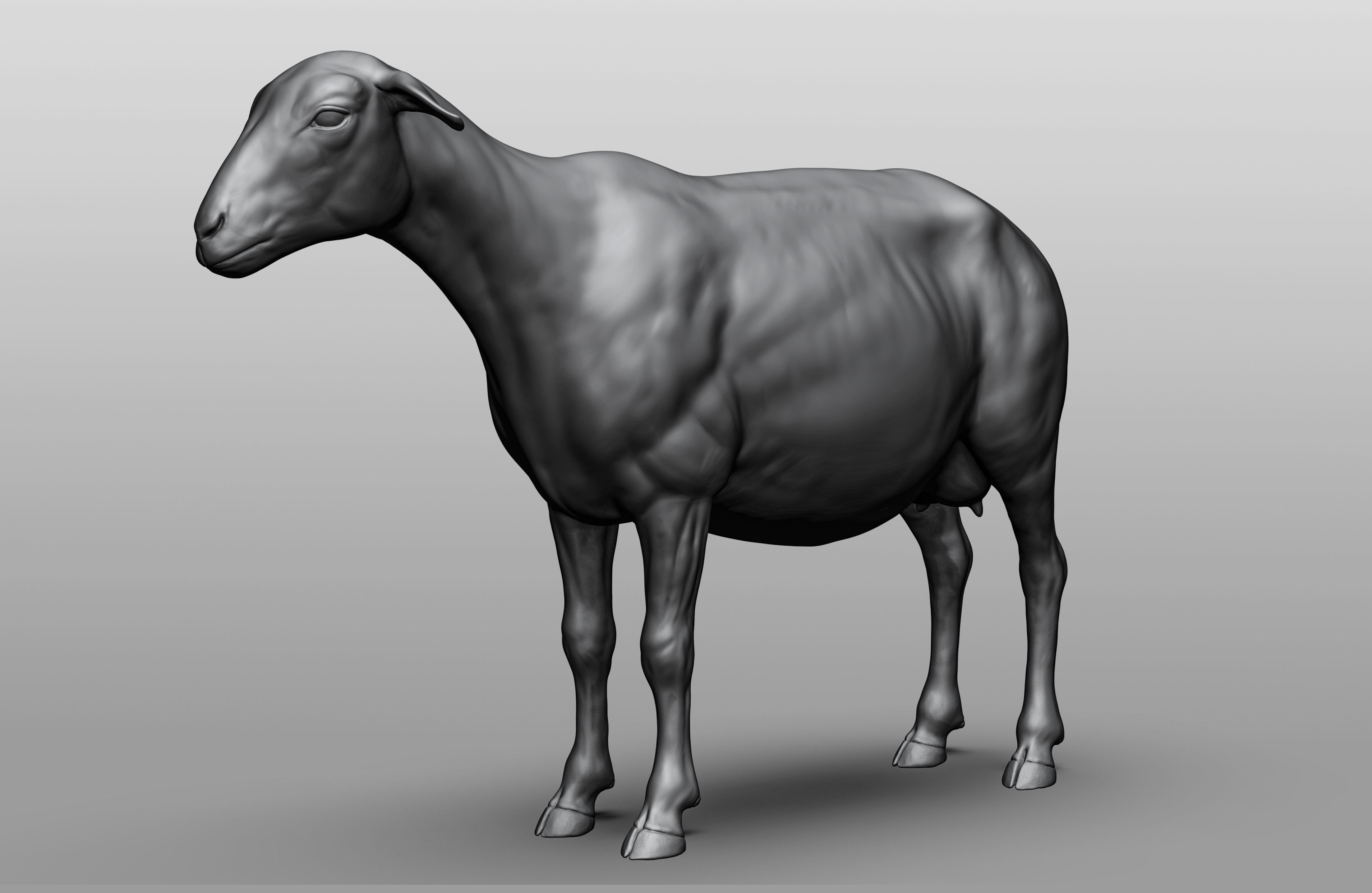 Domestic animal collection 3D model_5