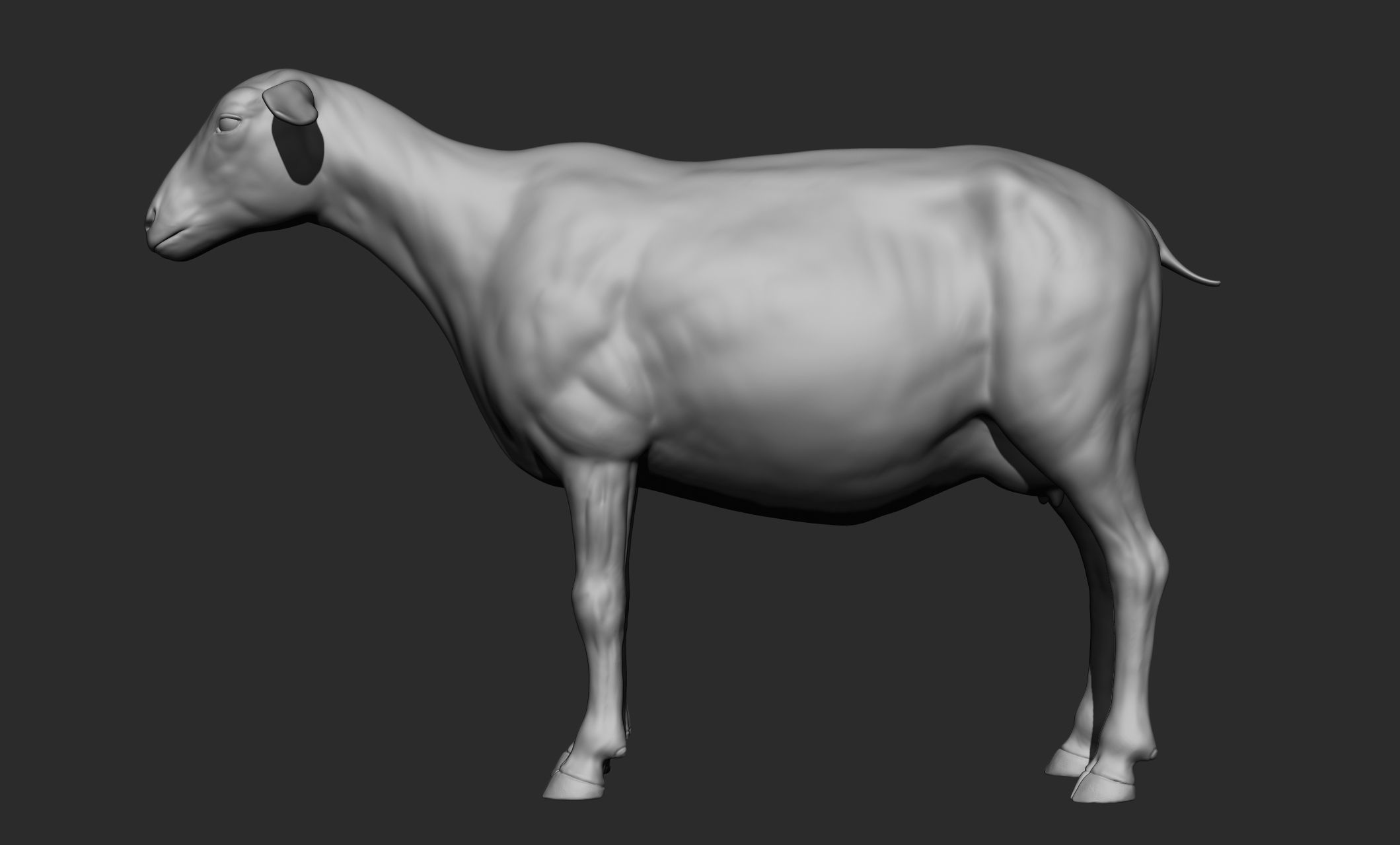Domestic animal collection 3D model_69
