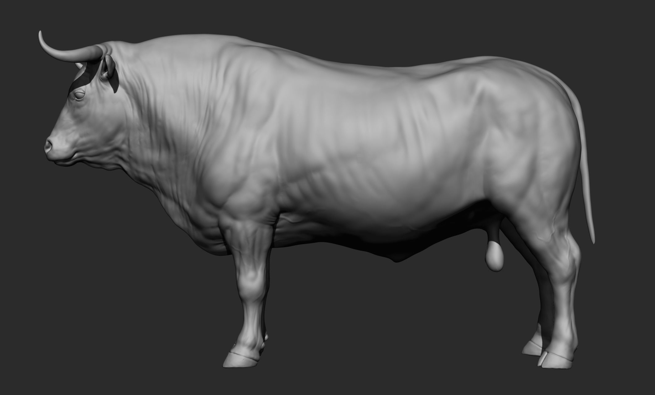 Domestic animal collection 3D model_28