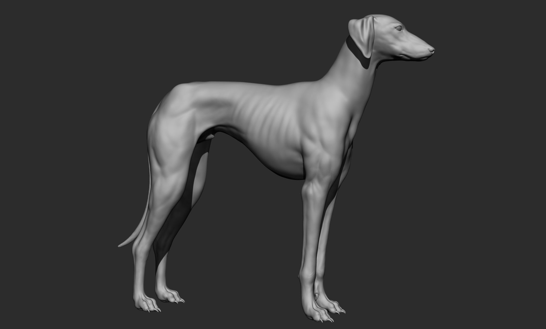 Domestic animal collection 3D model_88